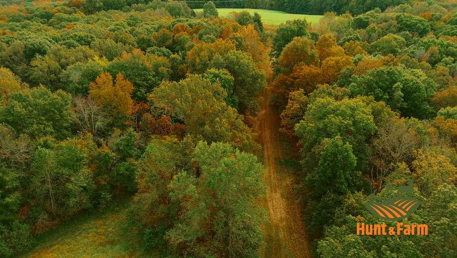 Still 2025-11-29 081237_1.53.1.jpg